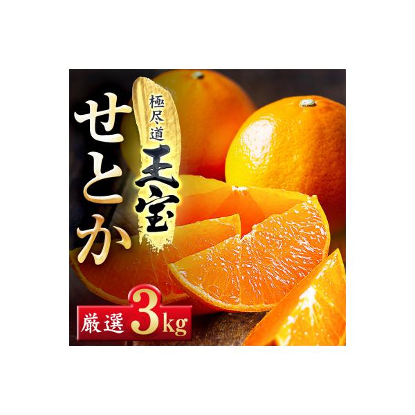 「玉宝ブランド」【せとか】3kg【E64-47】