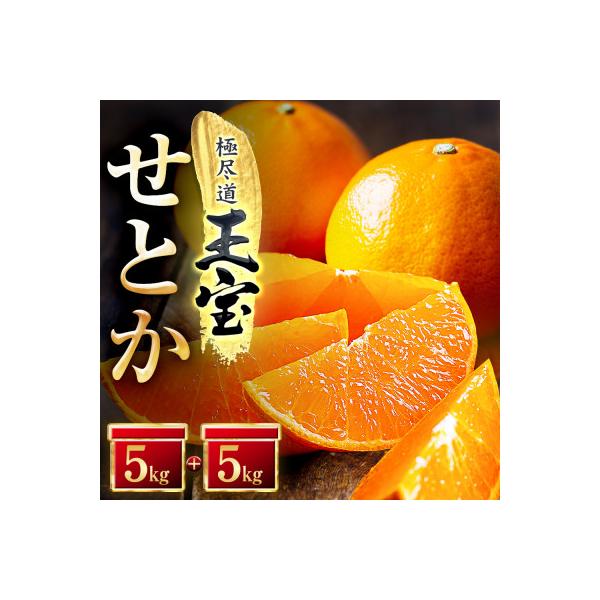 「玉宝ブランド」【せとか】10kg【H64-48】