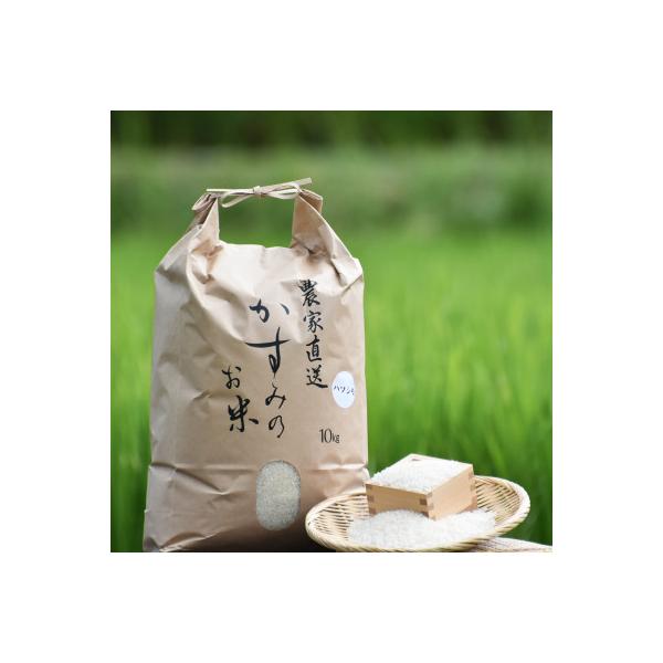 令和7年産 美濃加茂産のお米 「ハツシモ」　  10kg