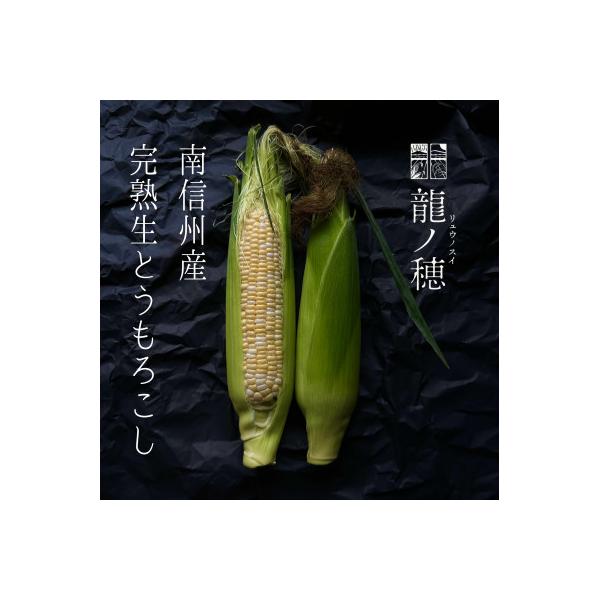 ■お礼品詳細　・配送種別：冷蔵便　・提供元：龍ノ穂−リュウノスイー　■お申し込み・配送・その他　・発送時期：2026-07-10〜2026-08-07(お届け時間帯指定可)　・申込受付期間：〜2026-07-31　・配達外のエリア：離島　・...