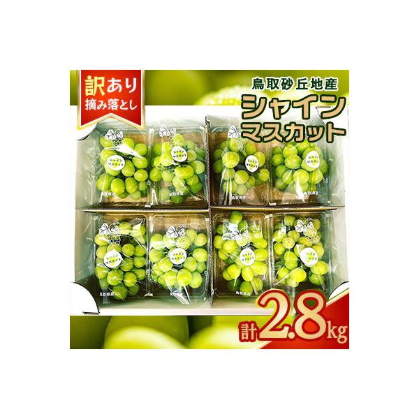 シャインマスカット　訳あり　家庭用　鳥取砂丘地産　2.8kg(350g×8パック)