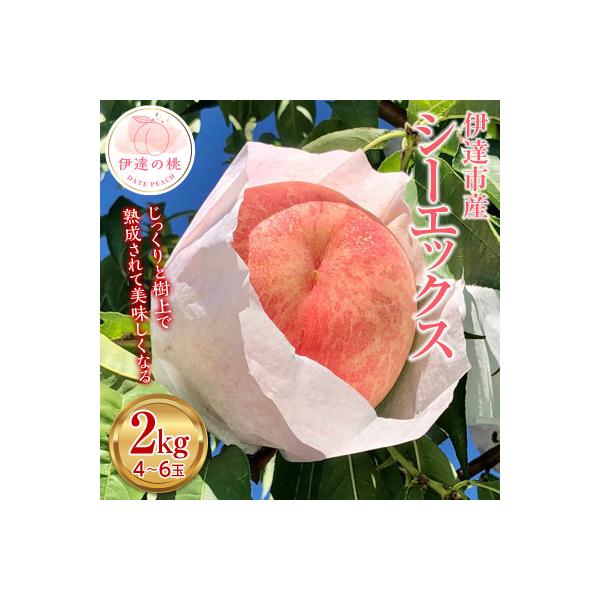 先行予約 福島の桃 シーエックス 2kg(4～6玉) 【あかい果樹園】 F20C-907