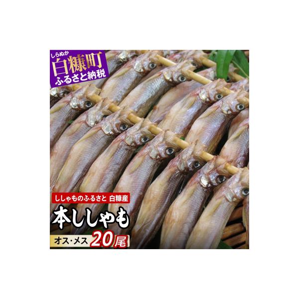 しらぬか産 本ししゃも 【数量限定】計20尾