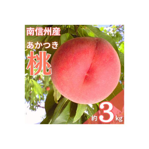 2026年先行予約!【7月下旬より順次発送】南信州産「桃」あかつき 約3kg【10~12玉】