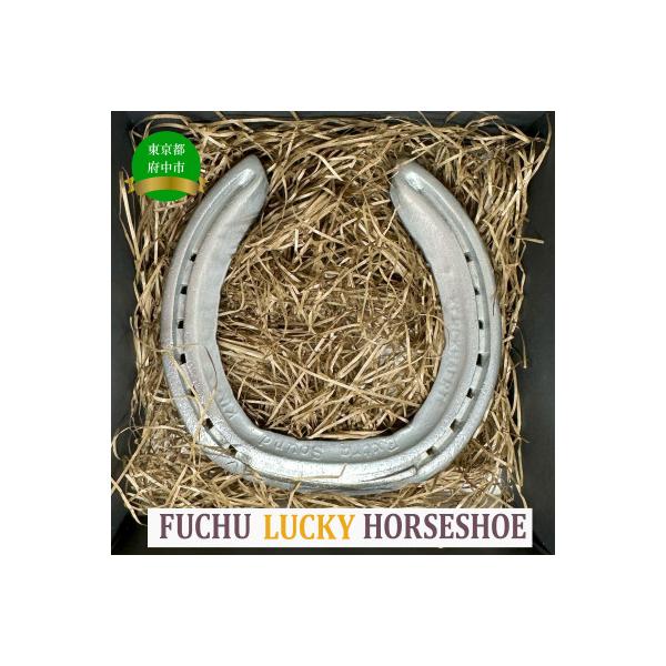 FUCHU　LUCKY　HORSESHOE(蹄鉄)