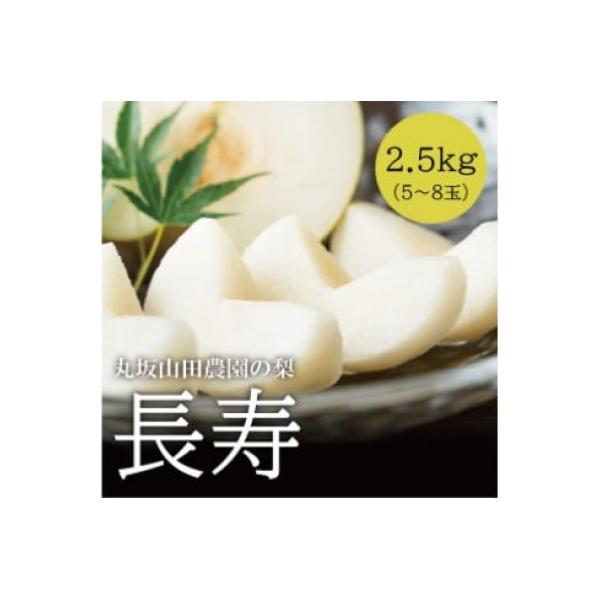 ■お礼品詳細　・配送種別：冷蔵便　・提供元：丸坂山田農園株式会社■お申し込み・配送・その他　・発送時期：2026-07-25〜2026-08-10(お届け時間帯指定可)　・申込受付期間：2025-12-01〜2026-07-20　・配達外の...