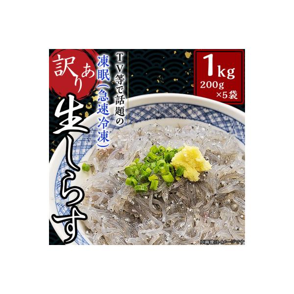 【訳あり】生しらす1kg【TV等で話題の凍眠(急速冷凍)小分け】