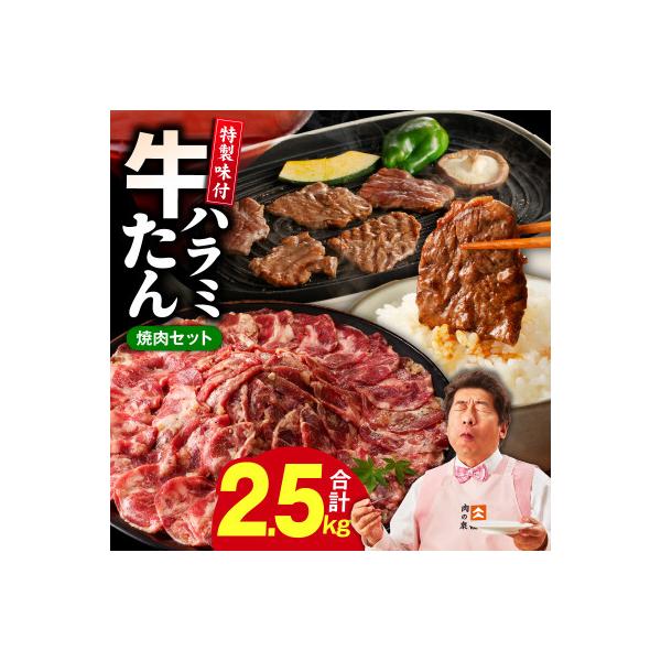 【総量 2.5kg】牛タン&牛ハラミ 大満足焼肉セット