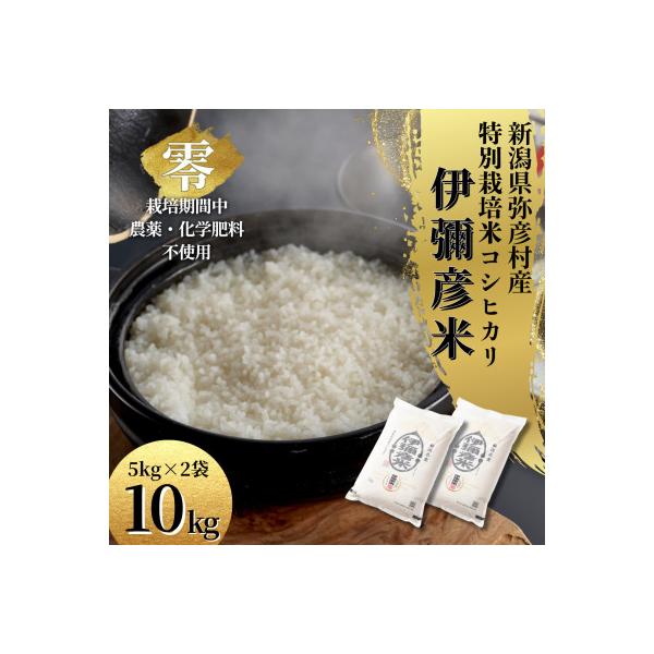 令和7年産 新潟県産 栽培期間中農薬不使用 コシヒカリ「伊彌彦米 零(ぜろ)」 10kg