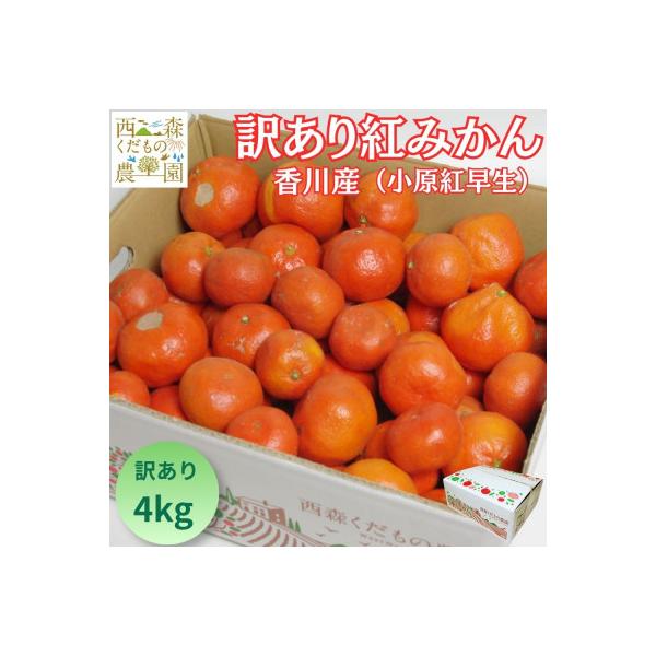 『2026年12月より順次発送』香川オリジナル品種「紅みかん(小原紅早生)」訳あり品4kg