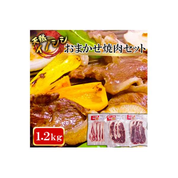 ■お礼品詳細　・配送種別：冷凍便　・提供元：照本食肉加工所■お申し込み・配送・その他　・発送時期：お申込みから2週間程度でお届け(お届け時間帯指定可)　・申込受付期間：通年　・配達外のエリア：離島　・寄付証明書の送付時期目安：申込完了日から...