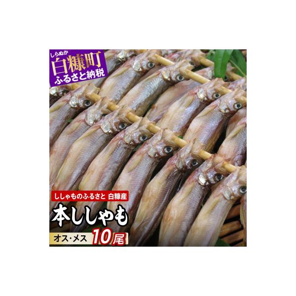 しらぬか産 本ししゃも 【数量限定】計10尾
