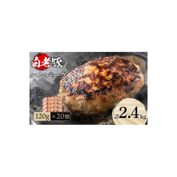 北海道産 白老豚ハンバーグ 120g×20個セット
