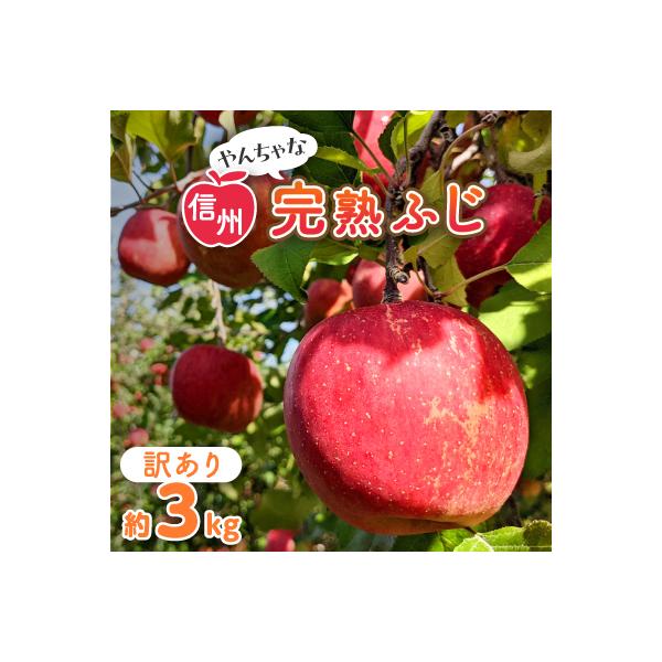 〈信州中野まつじるし農園〉やんちゃな訳あり完熟ふじ 約3kg