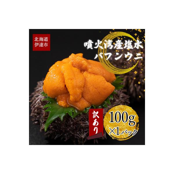 訳あり 北海道産 塩水 バフンウニ 100g×1パック