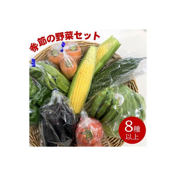 ファーマーズマーケット厳選　日高からの贈り物　季節の野菜セット(8種以上)【野菜詰め合わせ】