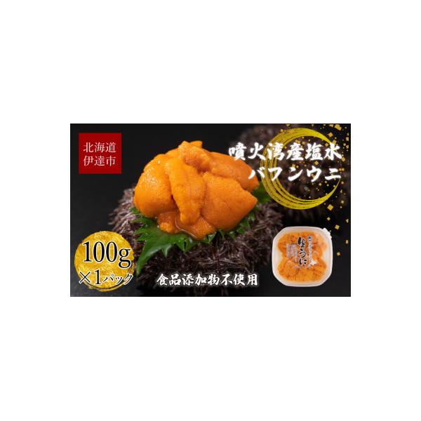 北海道産 塩水 バフンウニ 100g×1パック
