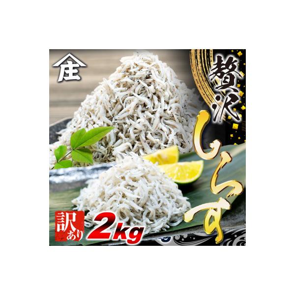 訳ありしらす干し 2kg (1kg×2箱) 冷凍 減塩 南知多町師崎 山庄水産