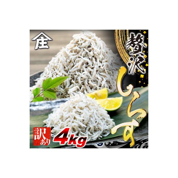 訳ありしらす干し 4kg(1kg×4箱)  冷凍 減塩 南知多町師崎 山庄水産