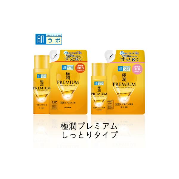 ふるさと納税 伊賀市 ロート製薬【肌ラボ 極潤プレミアム】化粧水+乳液