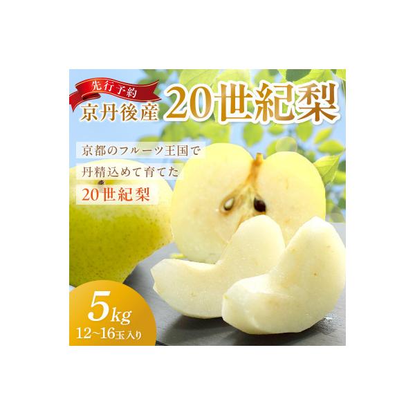 京丹後産 20世紀梨 5kg(12～16玉入り)(2026年9月順次発送予定)