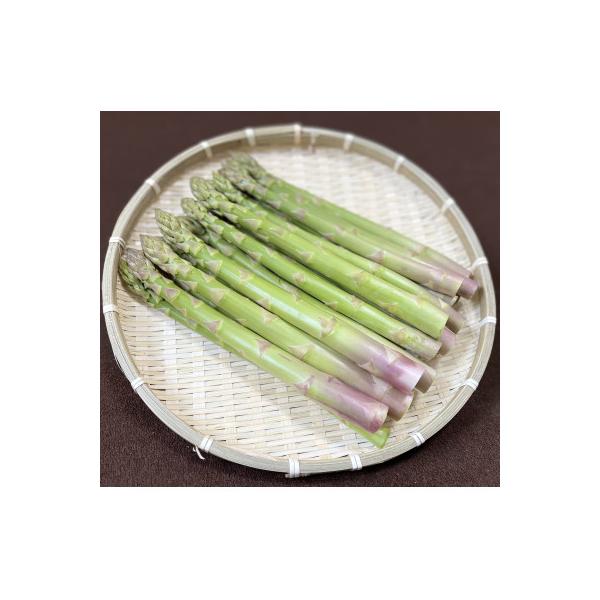 ■お礼品詳細　・配送種別：冷蔵便　・提供元：川内ファーム■お申し込み・配送・その他　・発送時期：2026-04-06〜2026-05-10　・申込受付期間：2025-10-10〜2026-03-31　・配達外のエリア：離島　・寄付証明書の送...