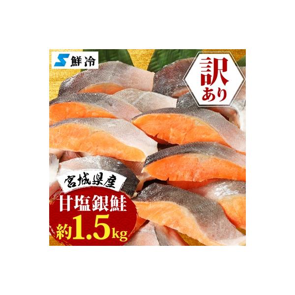 訳あり　銀鮭　宮城県産　甘塩　切身　約1.5kg　国産/三陸　女川町