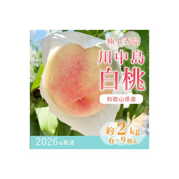 先行受付!　桃【川中島白桃】　(大玉特秀品)　約2kg　6～9個入　こだわり農家厳選!