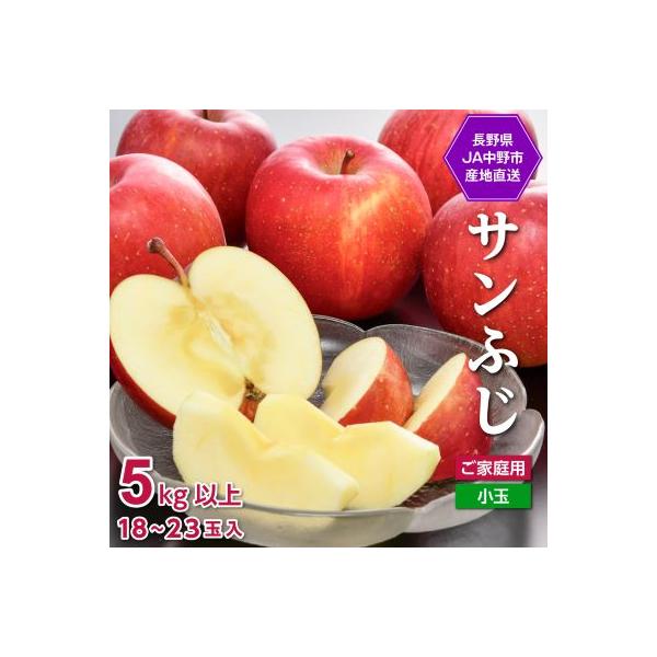 【先行受付】JA中野市 「サンふじ」ご家庭用 訳あり「小玉」 5kg以上(18～23玉入)