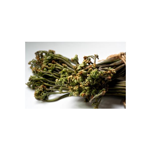 ■お礼品詳細　・配送種別：冷蔵便　・提供元：株式会社　浜中屋■お申し込み・配送・その他　・発送時期：2026-04-15〜2026-06-30(お届け時間帯指定可)　・申込受付期間：〜2026-05-31　・配達外のエリア：離島　・寄付証明...