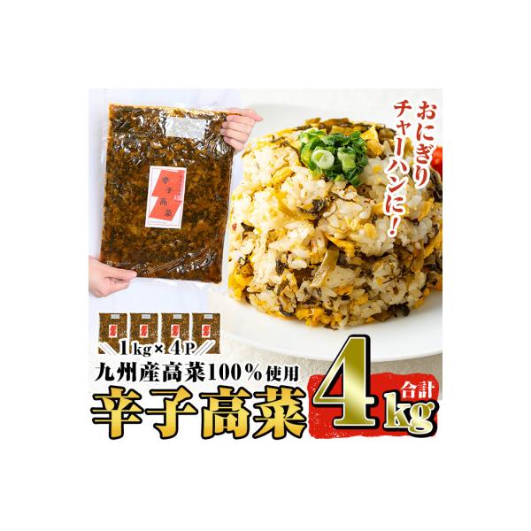 九州産辛子高菜セット4kg(1kg×4パック) 姶良市 a568【九州新進】
