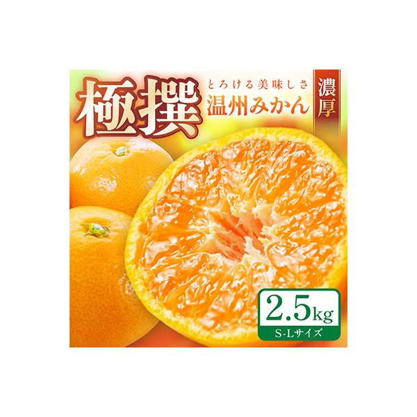 「濃厚な味のとろける美味しさ」温州みかん 2.5kg