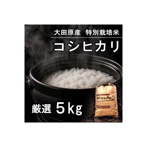 栃木県大田原産コシヒカリ 白米5kg|特別栽培米|栃木県農業大賞知事賞受賞農家
