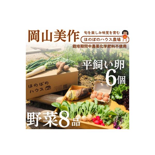 ■お礼品詳細　・配送種別：冷蔵便　・提供元：ほのぼのハウス農場■お申し込み・配送・その他　・発送時期：2026-01-15より順次発送 ※生産・天候・交通等の事情により遅れる場合があります。(お届け時間帯指定可)　・申込受付期間：通年　・配...