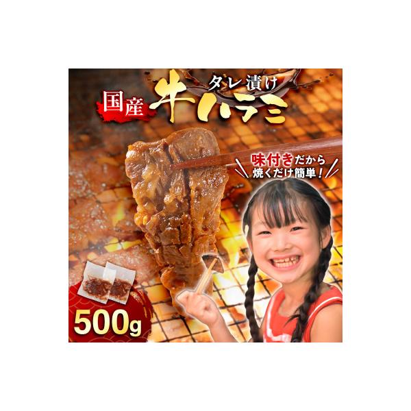 国産 特製たれ漬 牛ハラミサガリ 250g×2パック