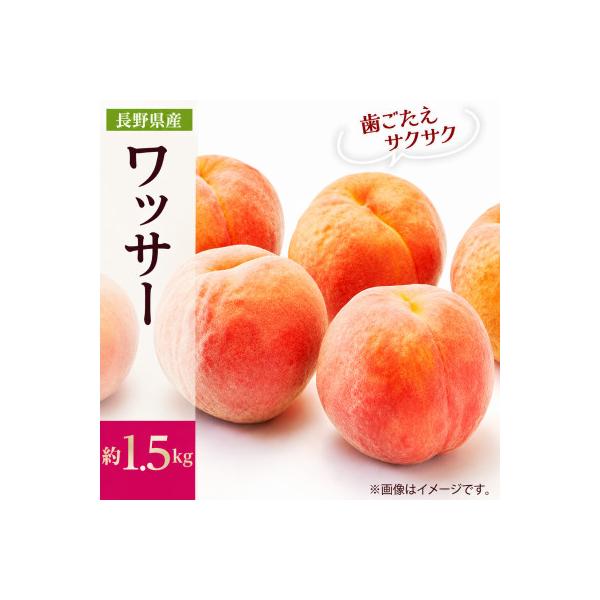 【2027年発送】フルーツ王国　長野県信州直送　ワッサー　約1.5kg(4～7玉)