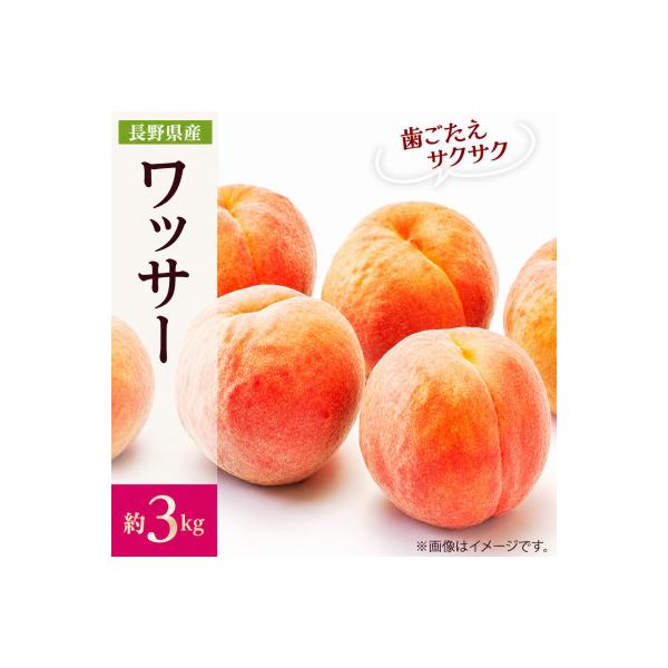 【2026年発送】フルーツ王国　長野県信州直送　ワッサークイン　約3kg(9～12玉)