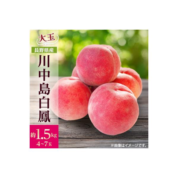 【2026年発送】フルーツ王国　長野県信州直送　桃　川中島白鳳　約1.5kg(4～7玉)