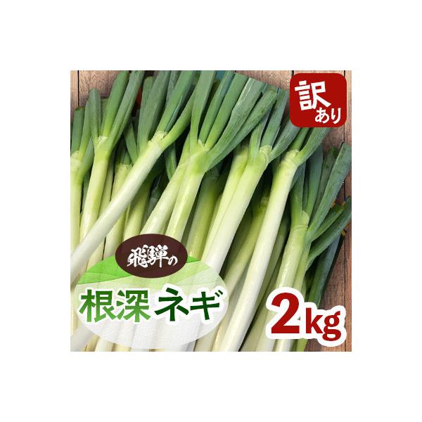 ■お礼品詳細　・配送種別：冷蔵便　・提供元：水村農園■お申し込み・配送・その他　・発送時期：2026-10-01〜2026-11-30(お届け時間帯指定可)　・申込受付期間：〜2026-11-25　　・配達外のエリア：離島　・寄付証明書の送...