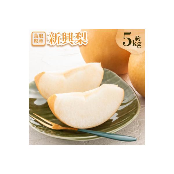 新興梨5kg
