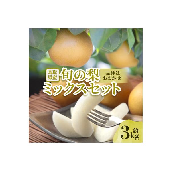 【品種はおまかせ】旬の梨ミックスセット3kg