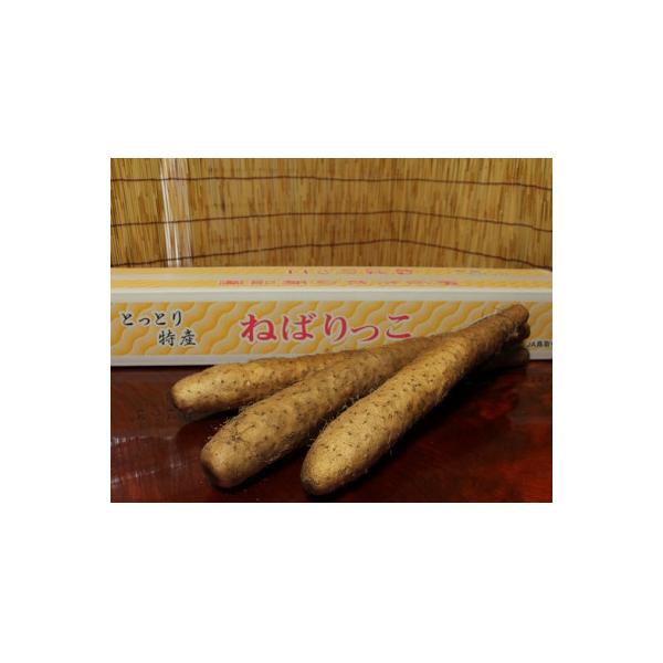 ねばりっこ　長芋　3～4本