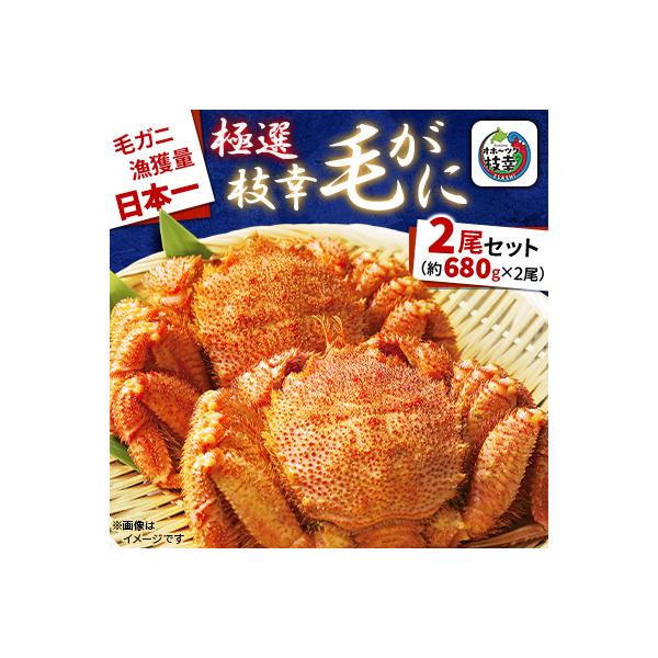 漁獲量日本一 枝幸毛がに 2尾セット(約680g×2尾) 北海道枝幸町産