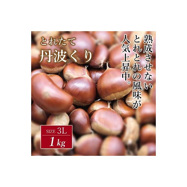 とれたて 丹波くり 3L 1kg(京都 京丹波町産 生栗)