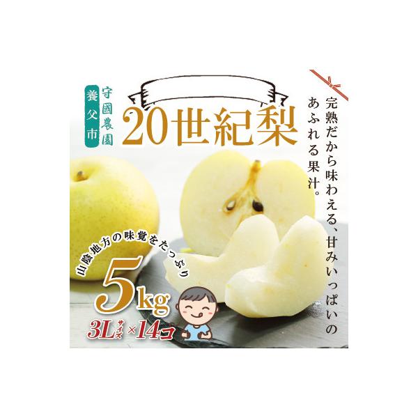 先行予約!守國農園 養父市産 二十世紀梨 5kg(3Lサイズ×14個)