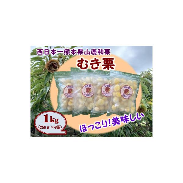 むき栗 熊本県産 山鹿 和栗