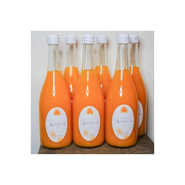 温州みかんジュース 720ml × 6本 果汁100%ストレートジュース