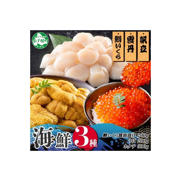 うに100g×2個 鱒いくら醤油漬け100g×2個 ホタテ300g 北海道弟子屈町 3611
