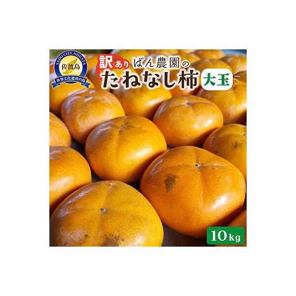 【2026年10月以降発送分】訳あり　佐渡島産大玉たねなし柿　10kg(箱の重さ込み)