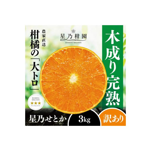 【訳あり】星乃せとか 柑橘の大トロ(3kg)【C45-87】